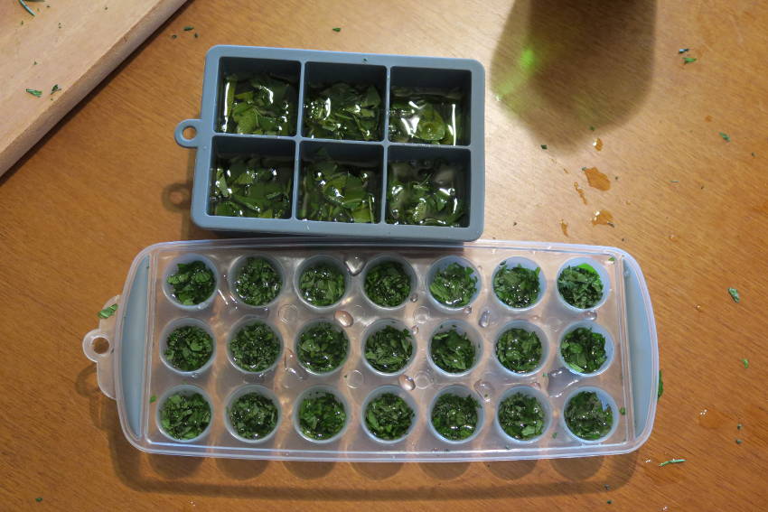 Herb ice cubes 6